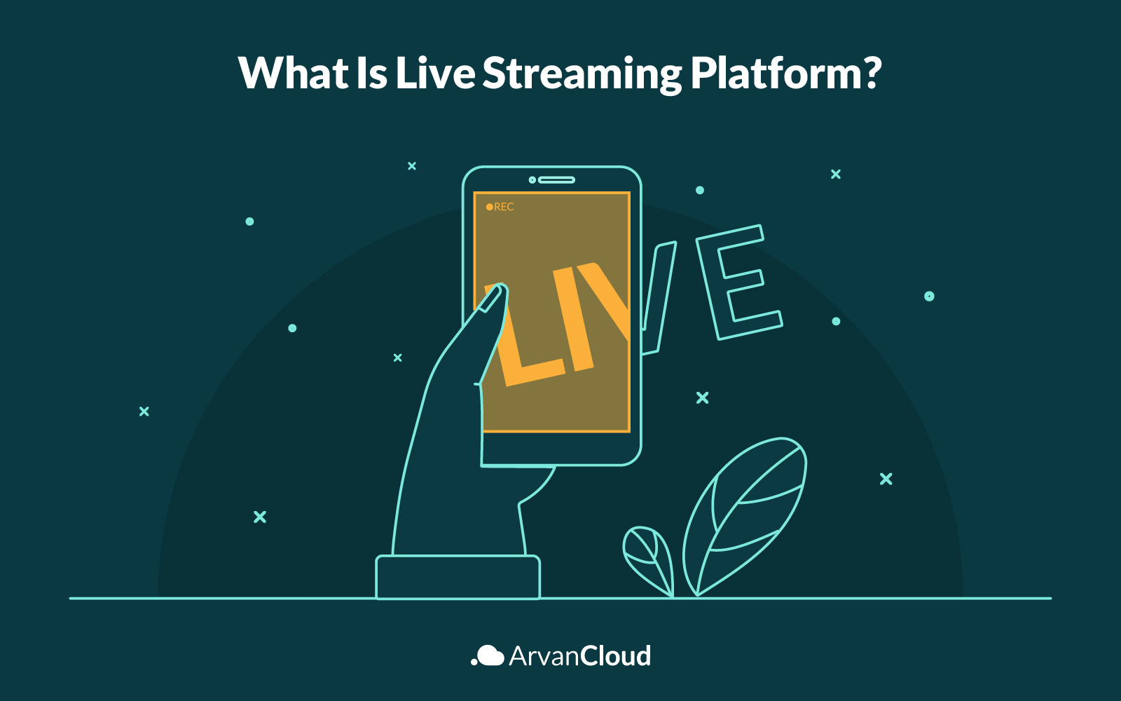 What is Streaming Platform?